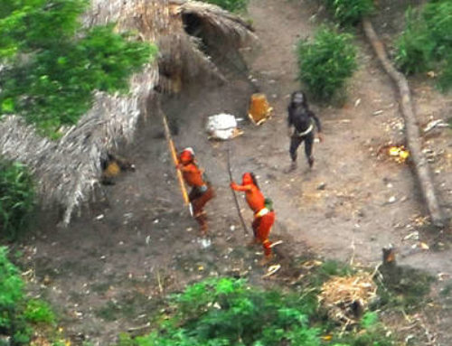 Amazon Indians confirm logging invasion near uncontacted tribes